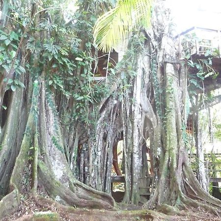 Topos Tree House Cahuita Buitenkant foto