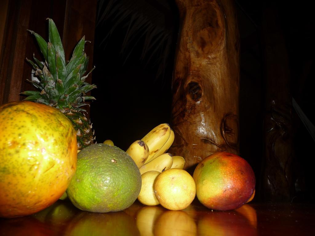 Topos Tree House Cahuita Buitenkant foto