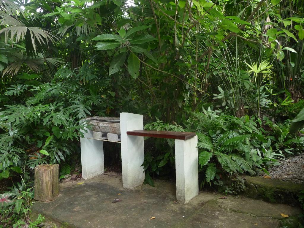 Topos Tree House Cahuita Buitenkant foto