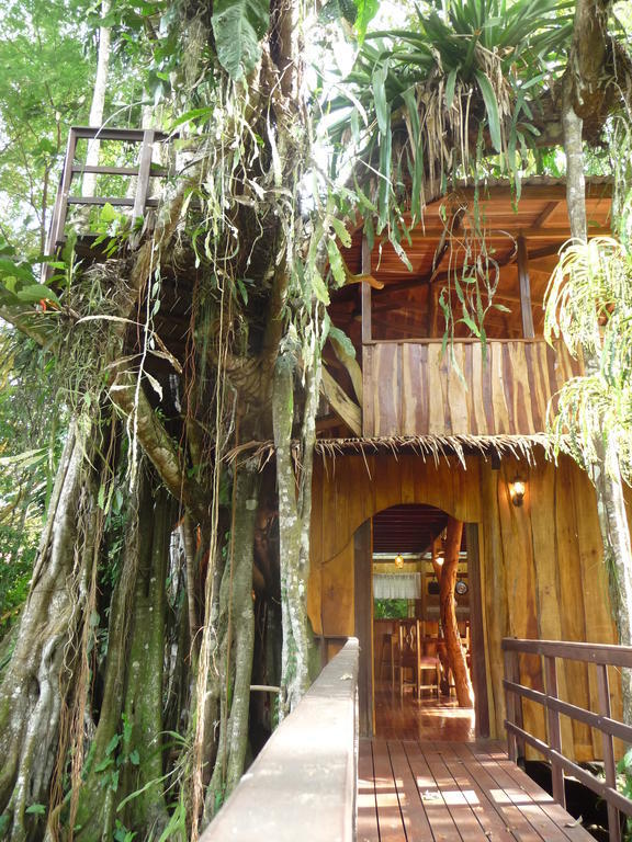 Topos Tree House Cahuita Kamer foto