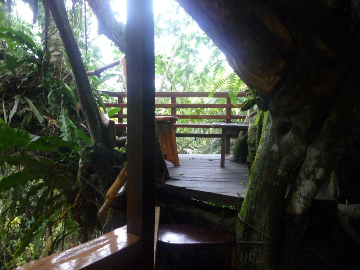 Topos Tree House Cahuita Buitenkant foto